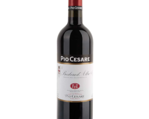 Pio Cesare Barbera d'Alba 2023
